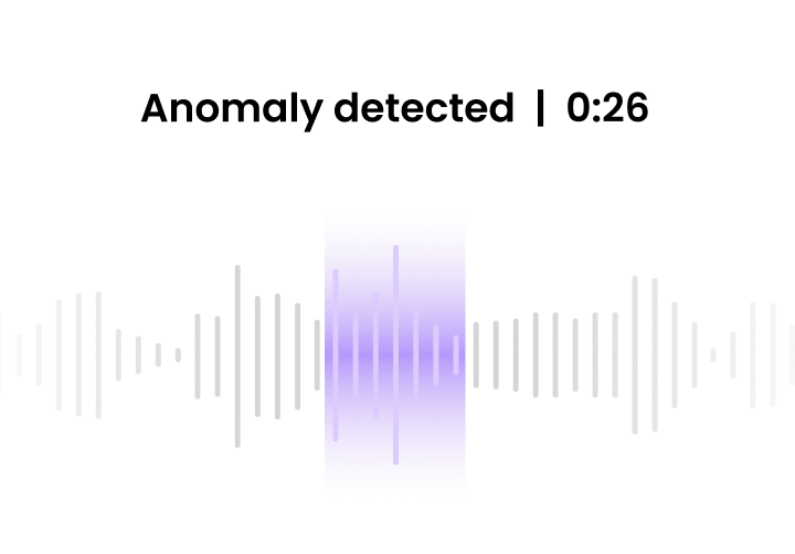 Image highlighting an audio Anomaly detected